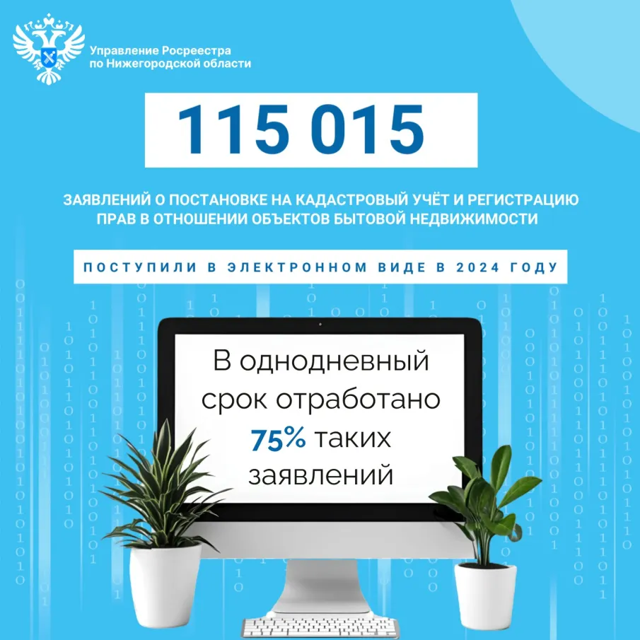 Нижегородский Росреестр об итогах регистрации  «бытовой недвижимости» за 2024 год
